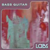 Bass Guitar