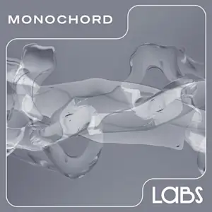Monochord