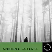 Ambient Guitars