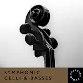 Symphonic Celli & Basses