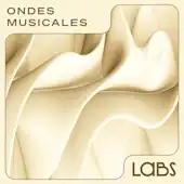 Ondes Musicales