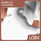 Gaelic Voices
