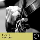 Fluid Violin