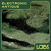 Electronic Antique
