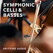 Symphonic Celli & Basses