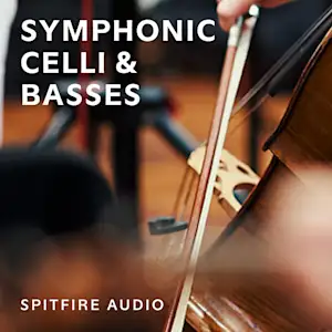 Symphonic Celli & Basses
