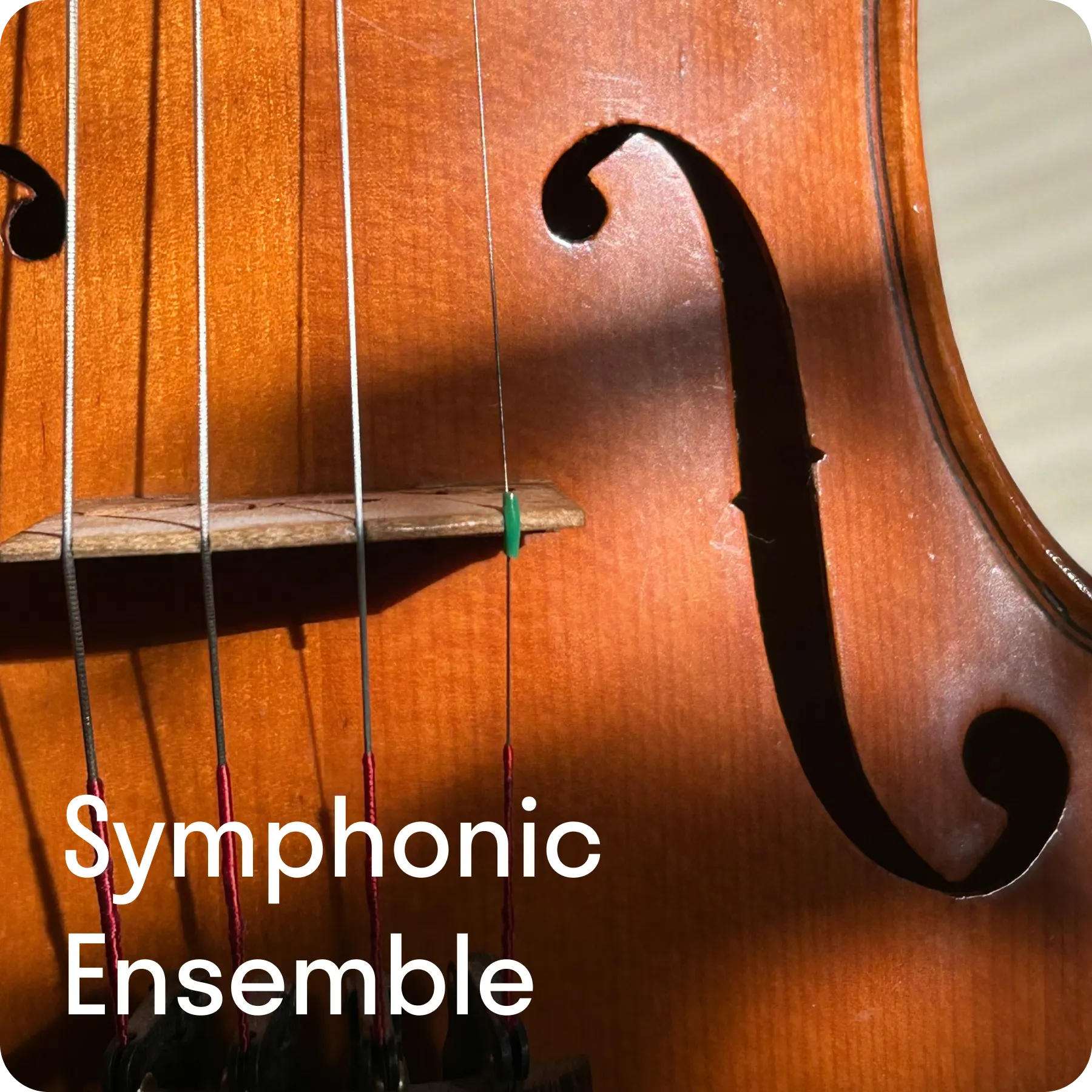 Symphonic Ensemble Artwork
