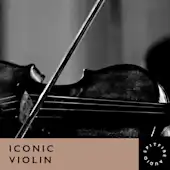 Iconic Violin