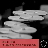 BBC SO Tuned Percussion