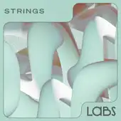 Strings