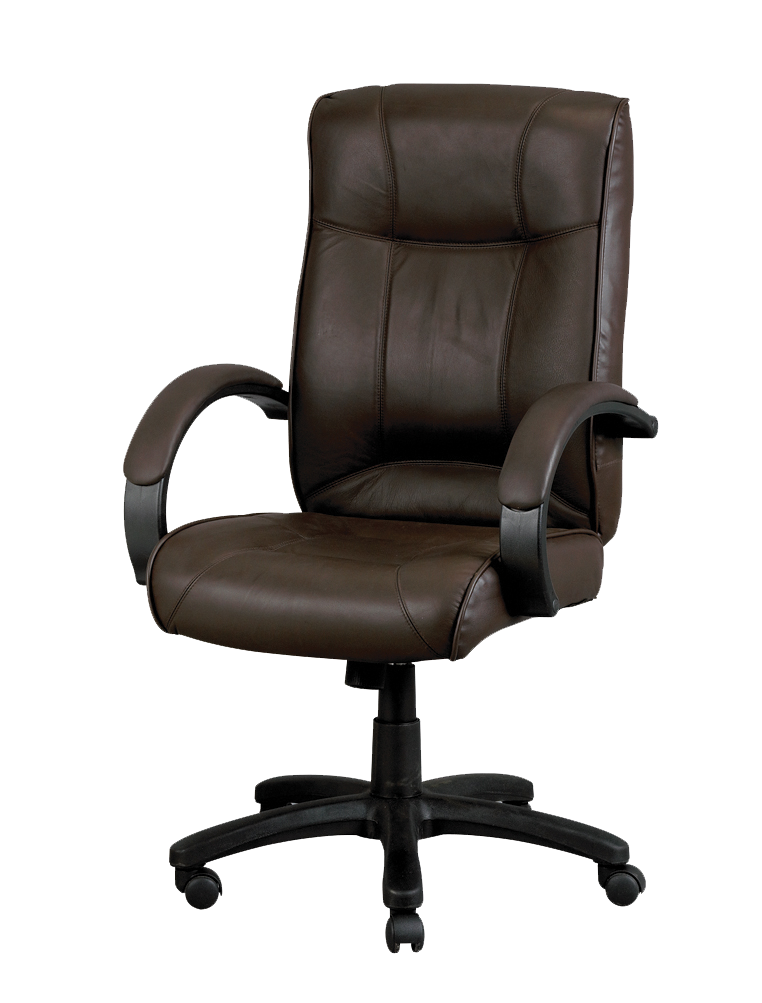 eurotech nuvem leather lounge chair