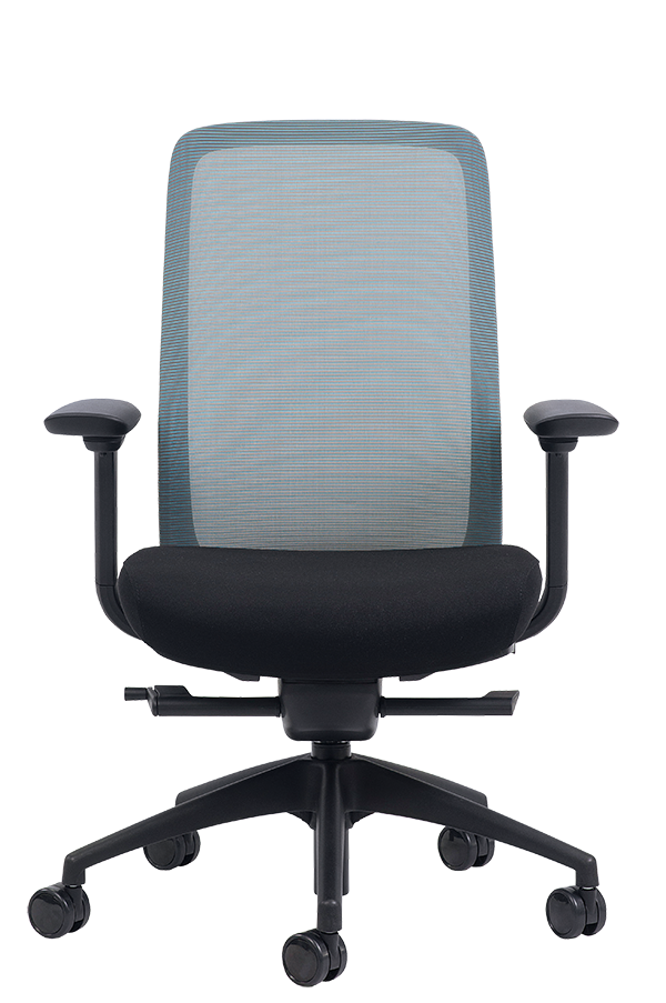 eurotech vera mesh back executive chair