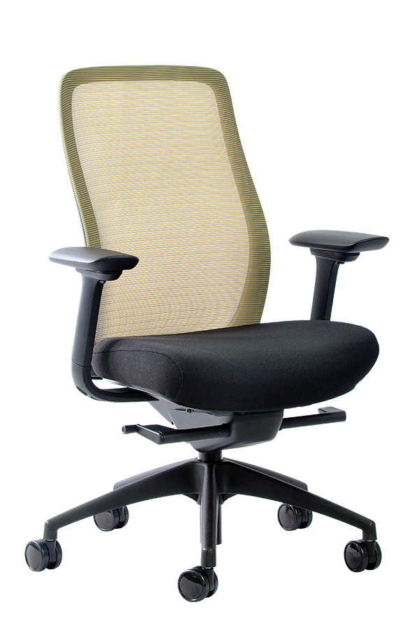 vera eurotech chair