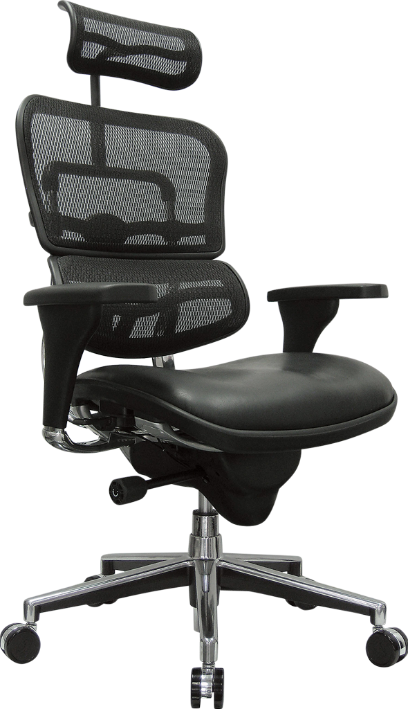 eurotech seating ergohuman high back leather swivel chair