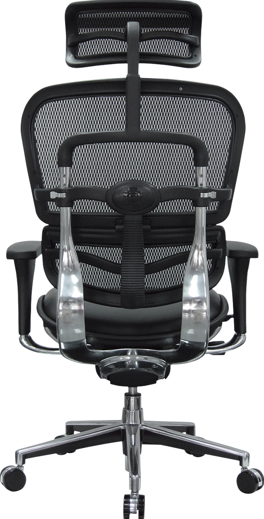 Ergohuman High Leather Seat & Mesh Back Eurotech