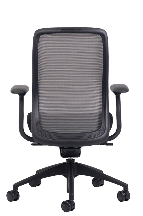 vera eurotech chair