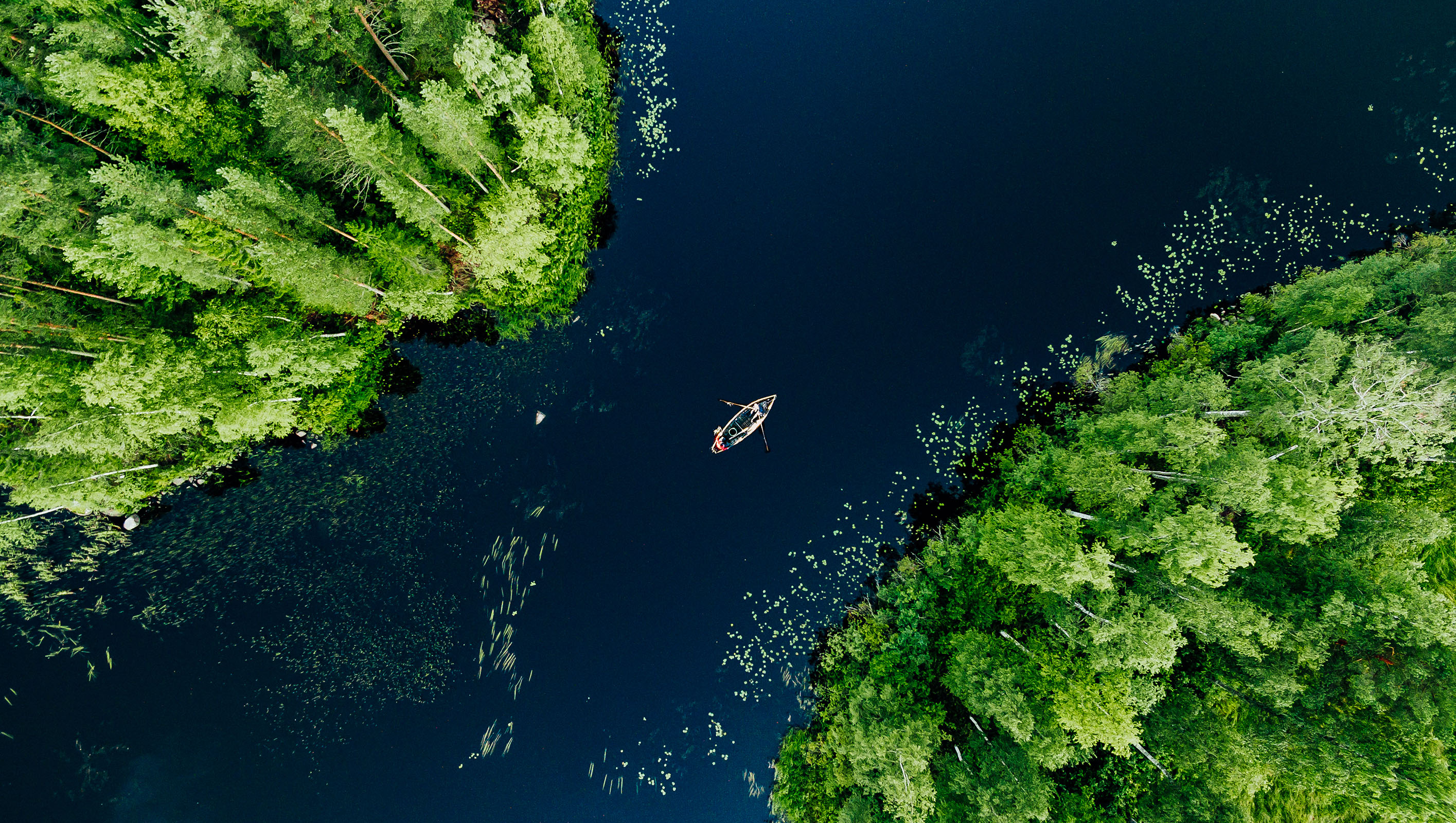 Aerial view of a single person rowing a small boat on a dark blue lake surrounded by dense green forest with patches of aquatic plants.