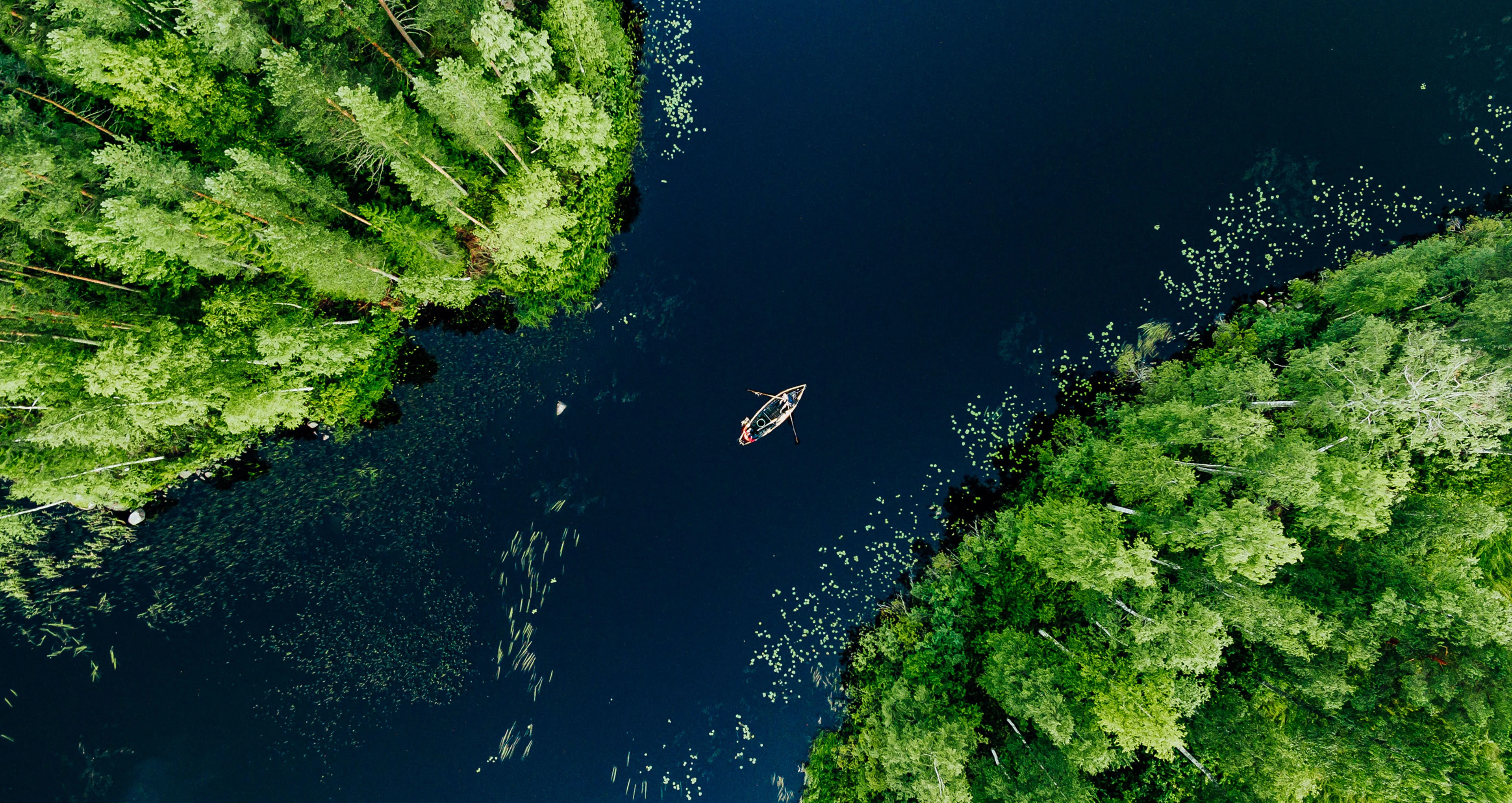 Aerial view of a single person rowing a small boat on a dark blue lake surrounded by dense green forest with patches of aquatic plants.