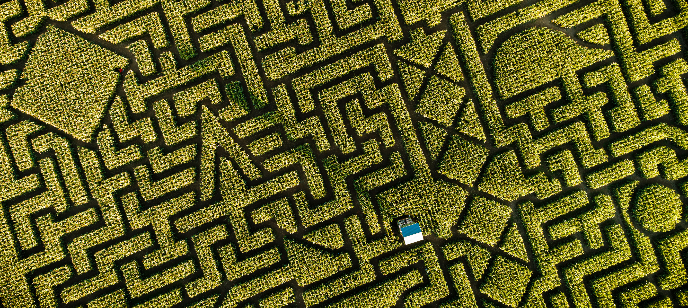 Corn Maze Top View