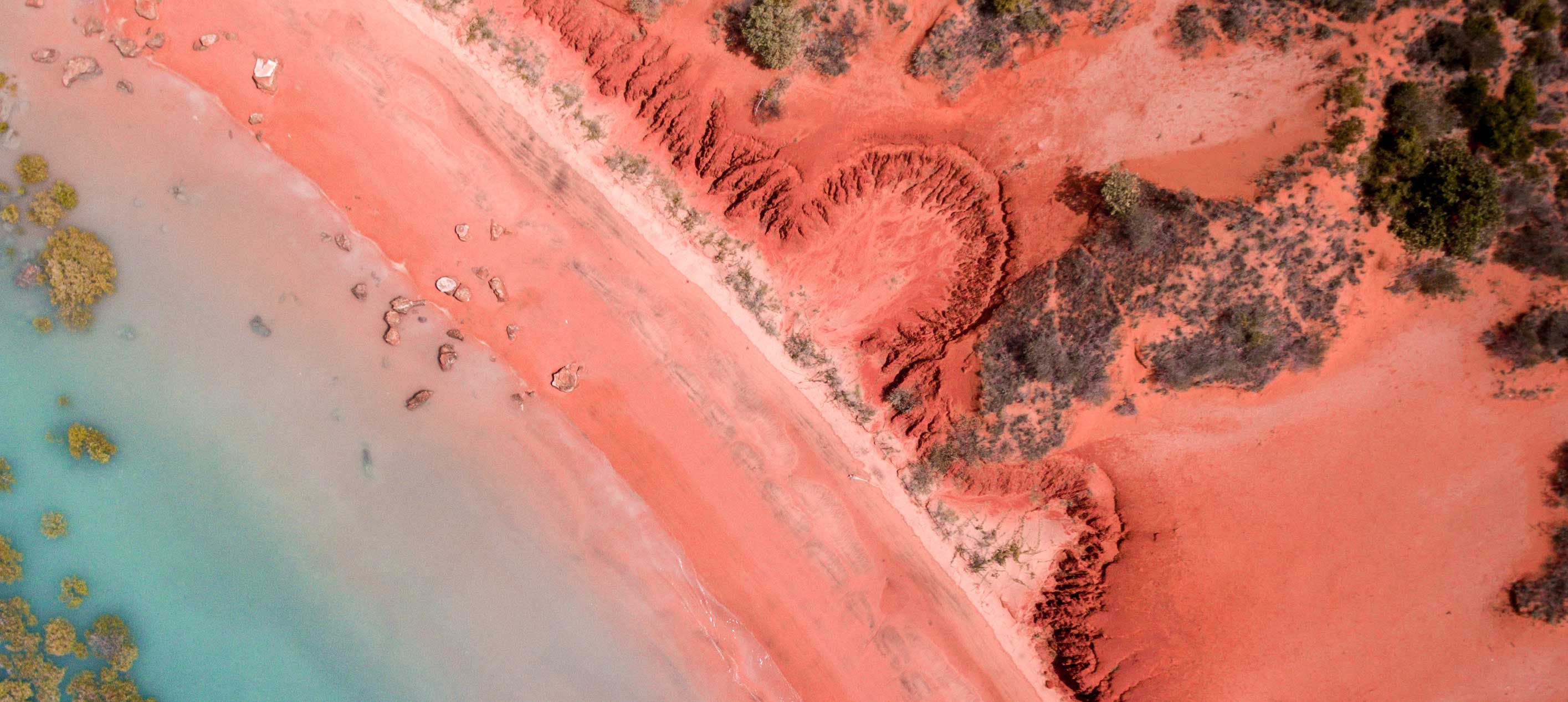 Aerial view of red desert meeting turquoise shoreline