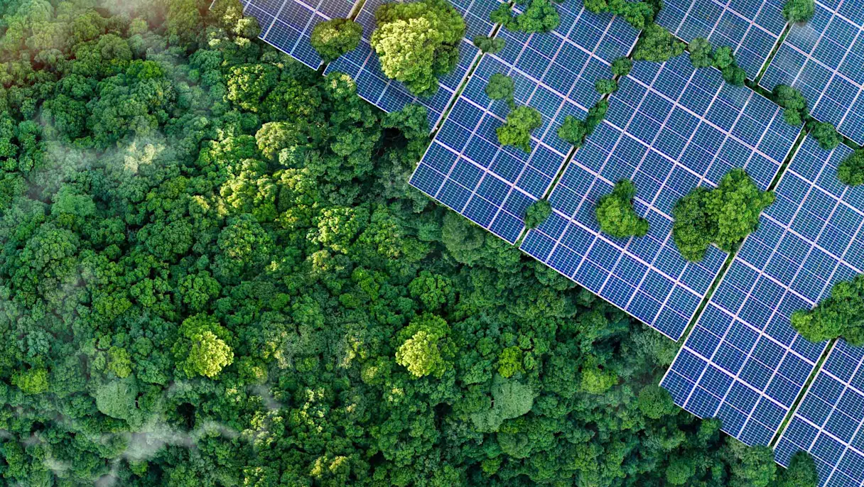 Aerial view of solar panels installed among a dense green tree canopy, viewed from directly above.