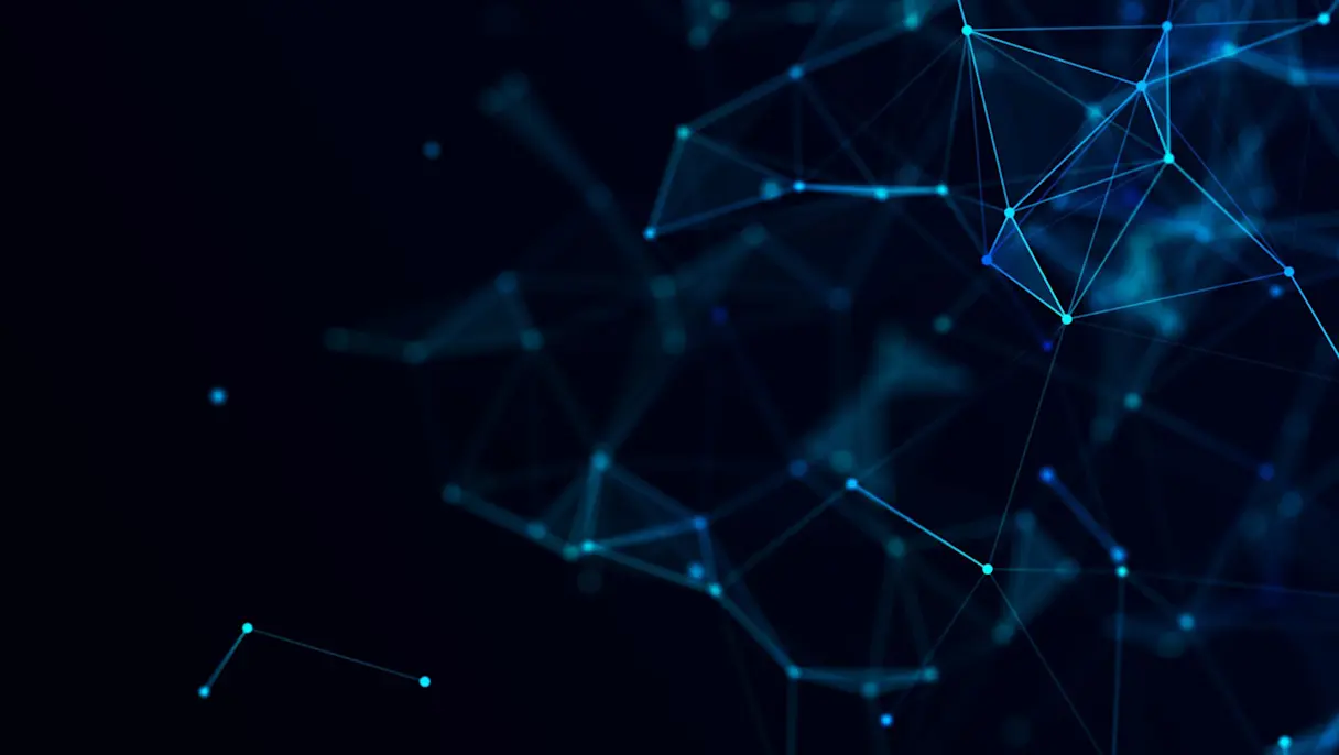 Network, Conceptual Illustration