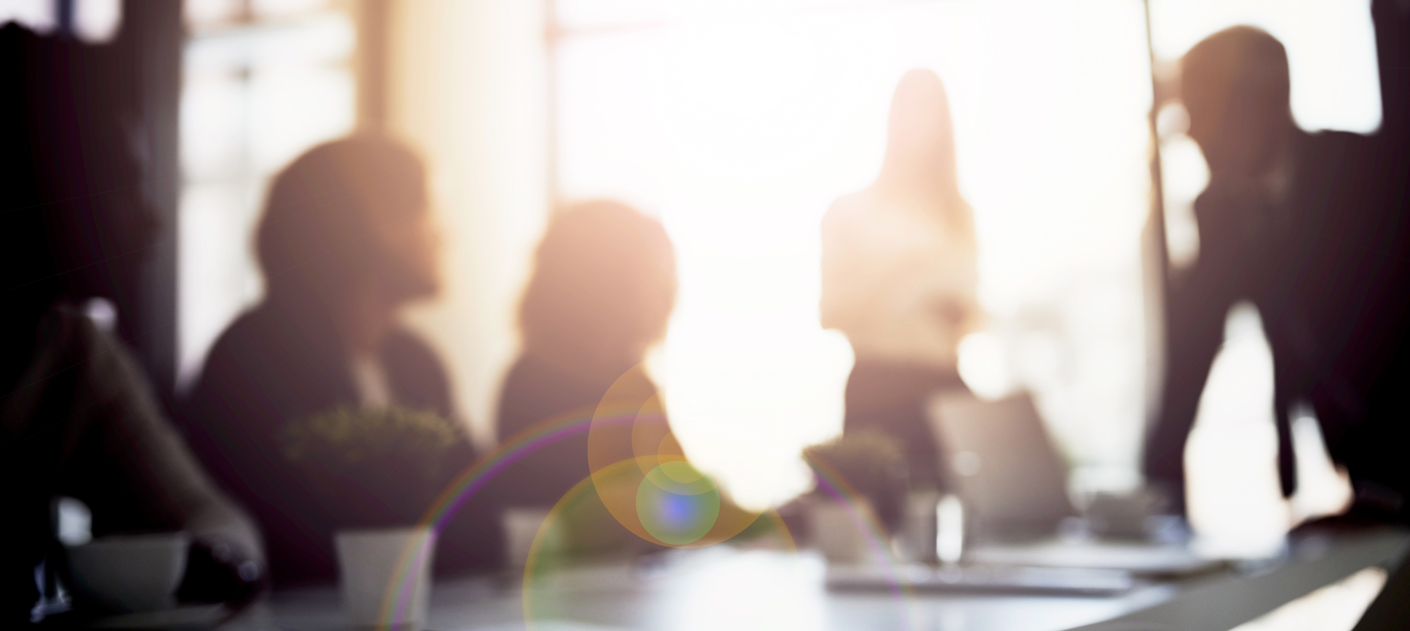 Blurred silhouettes of people in a meeting room with sunlight through windows and lens flare across table.