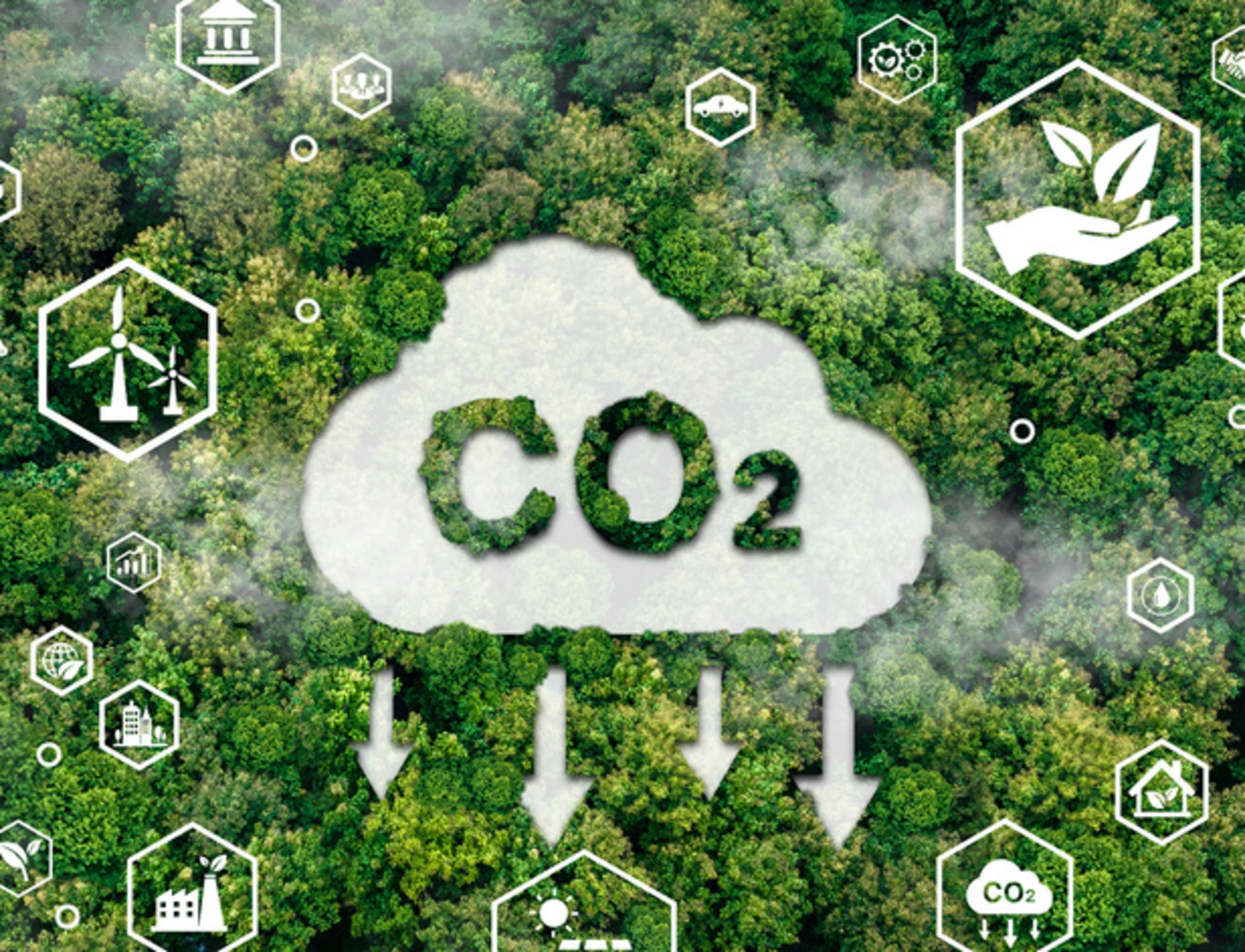 Carbon dioxide chemical formula