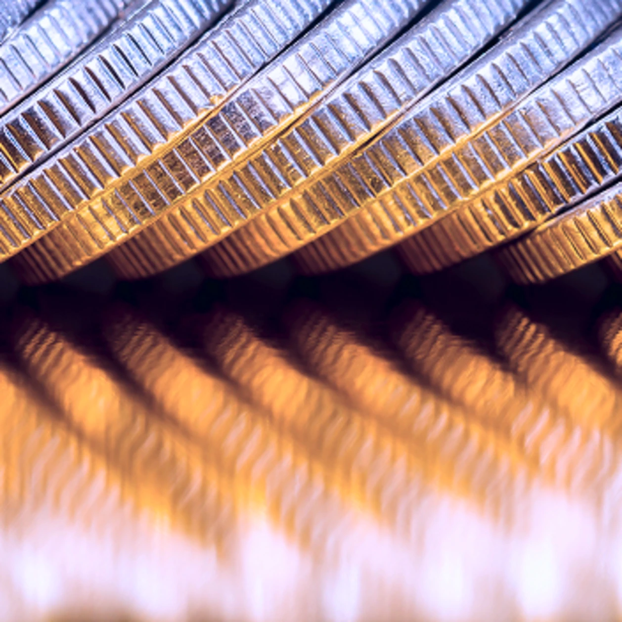 Micro shot of a row of coins on an angle with a reflection below