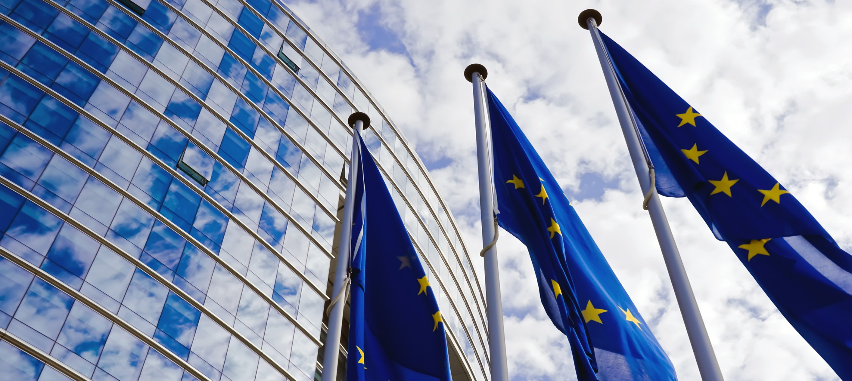 European Union flags flying in front of the modern glass architecture of the European Parliament building.
