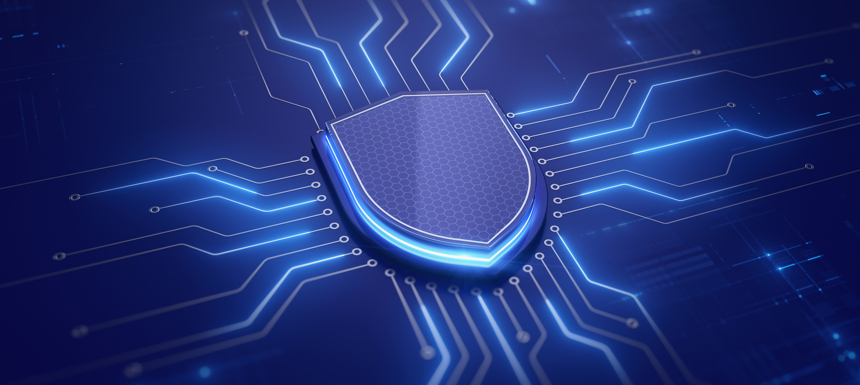 Digital illustration of a shield with digital pathways leading to it