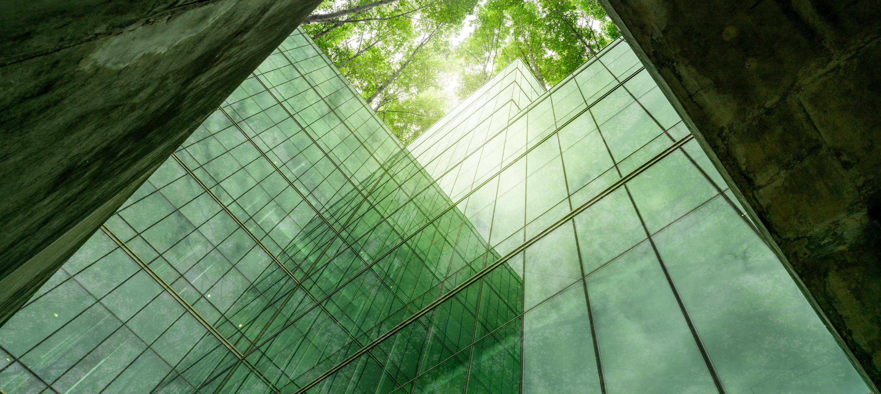 A bottom level view of a building with trees overhead.