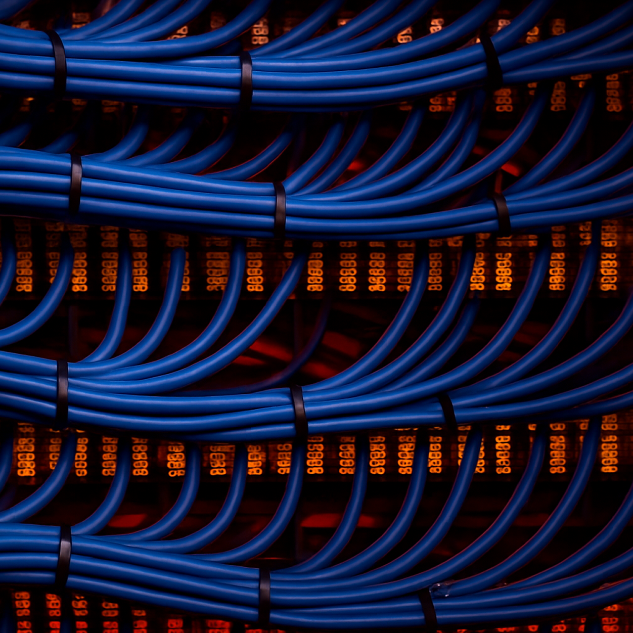 Close-up of organized blue Ethernet cables bundled and connected to a network switch with glowing orange LED indicators in a data center.
