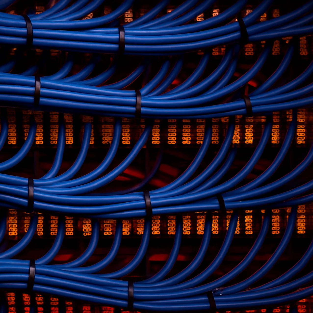 Close-up of organized blue Ethernet cables bundled and connected to a network switch with glowing orange LED indicators in a data center.