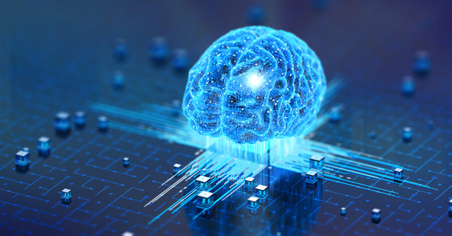 brain