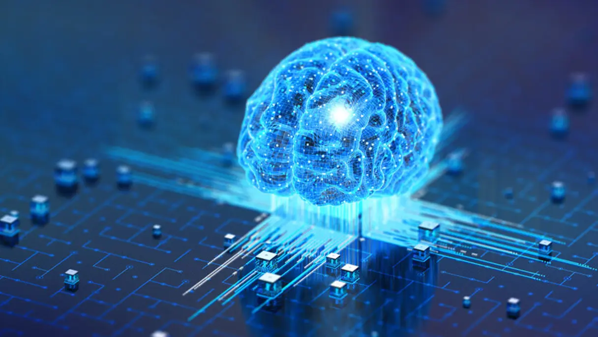 brain