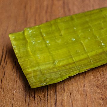 The Ultimate Beauty Food: Aloe Vera