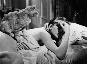 Can't Wake Up In The Morning? Read This