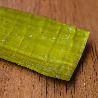The Ultimate Beauty Food: Aloe Vera