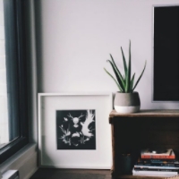 Marjorie Roux, Public Relations Manager, David's Tea