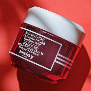 Our Favorite Products: June Edition