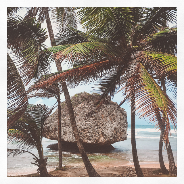 Tom's Spring Break Packing List