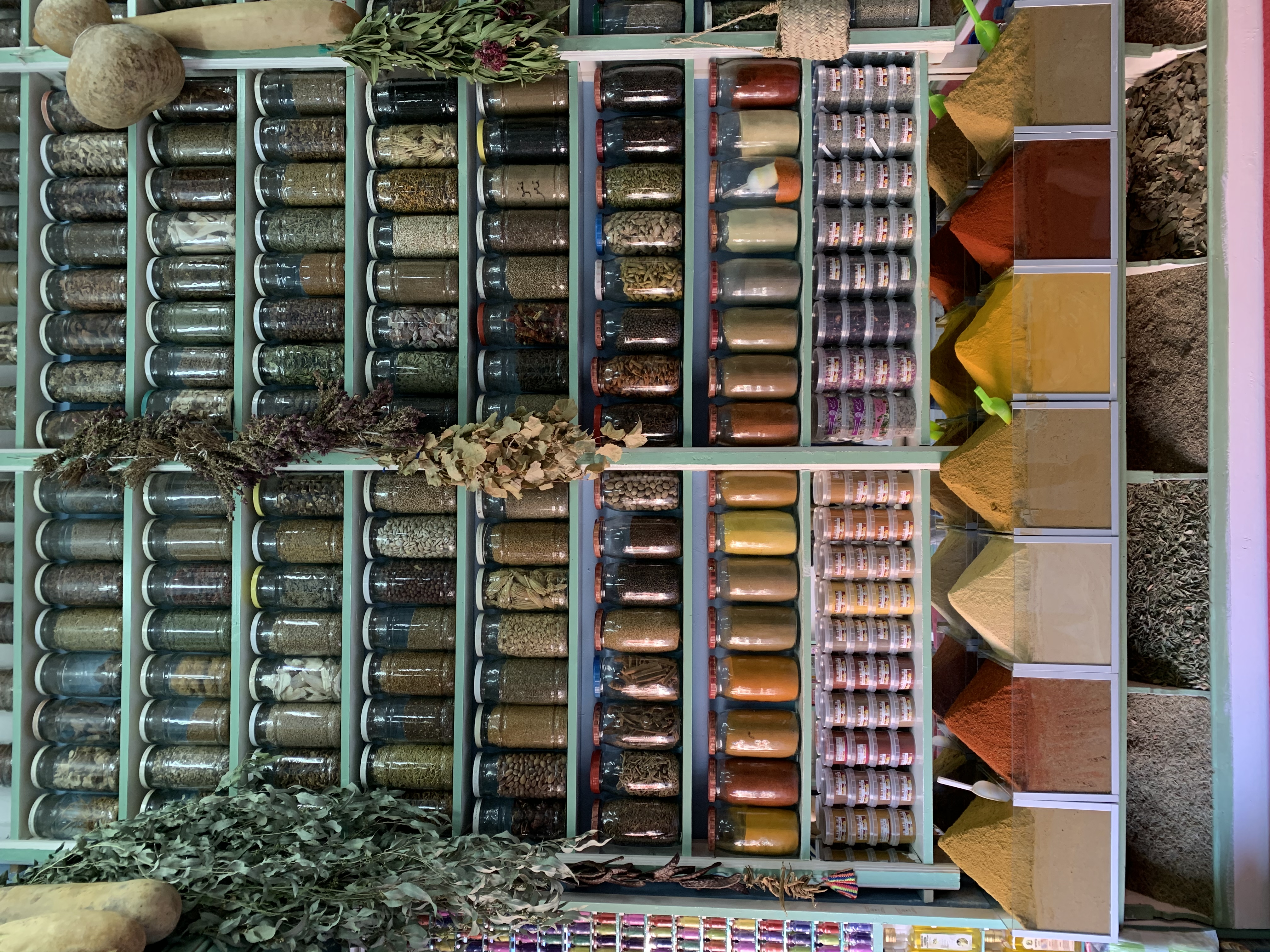 Shayna Goldberg's Work Trip To Marrakech