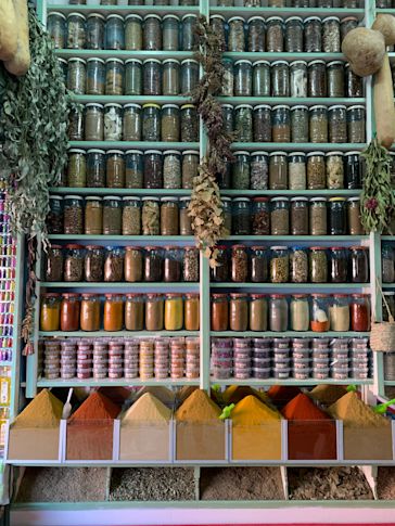Shayna Goldberg's Work Trip To Marrakech