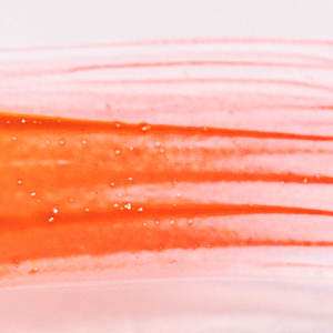 The Best Budget Lip Stains