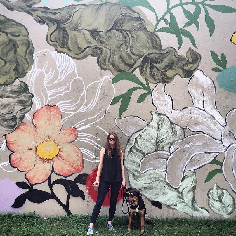 The Instructional Designer Who Lives By Vitamin C