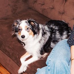 Sandy Liang, Designer