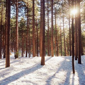 The Playlist: Non-Christmas Music For The Holidays