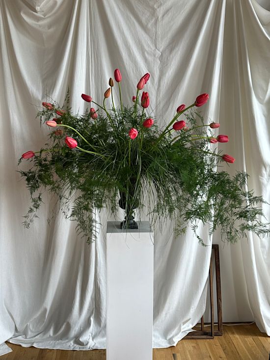 Where Future Flowers Finds The Best Blooms