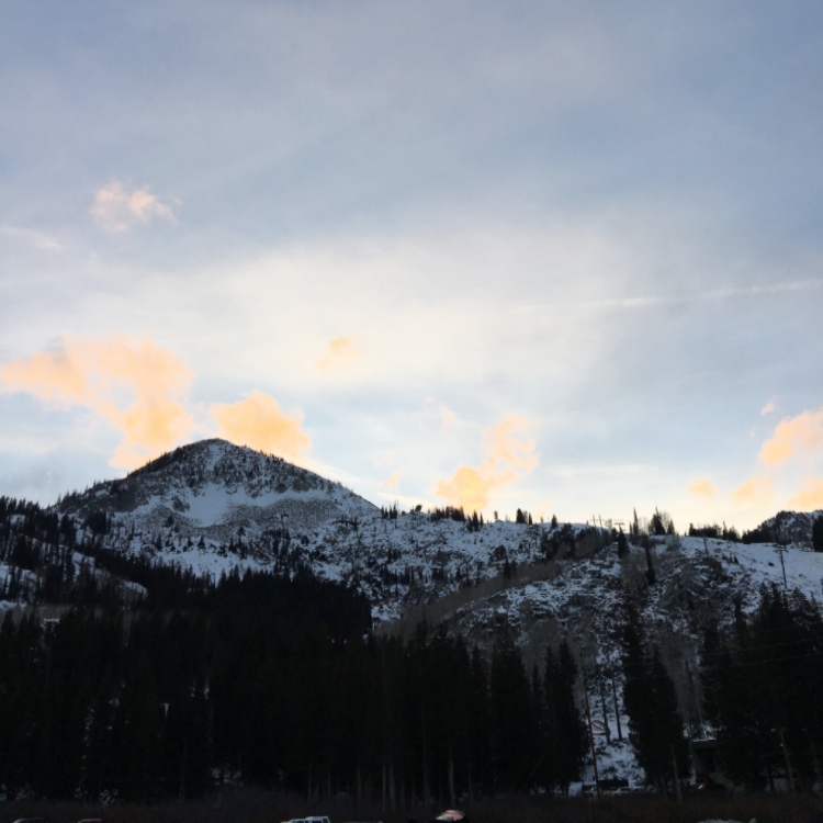 All The Beauty Advice To Give This Holiday Season